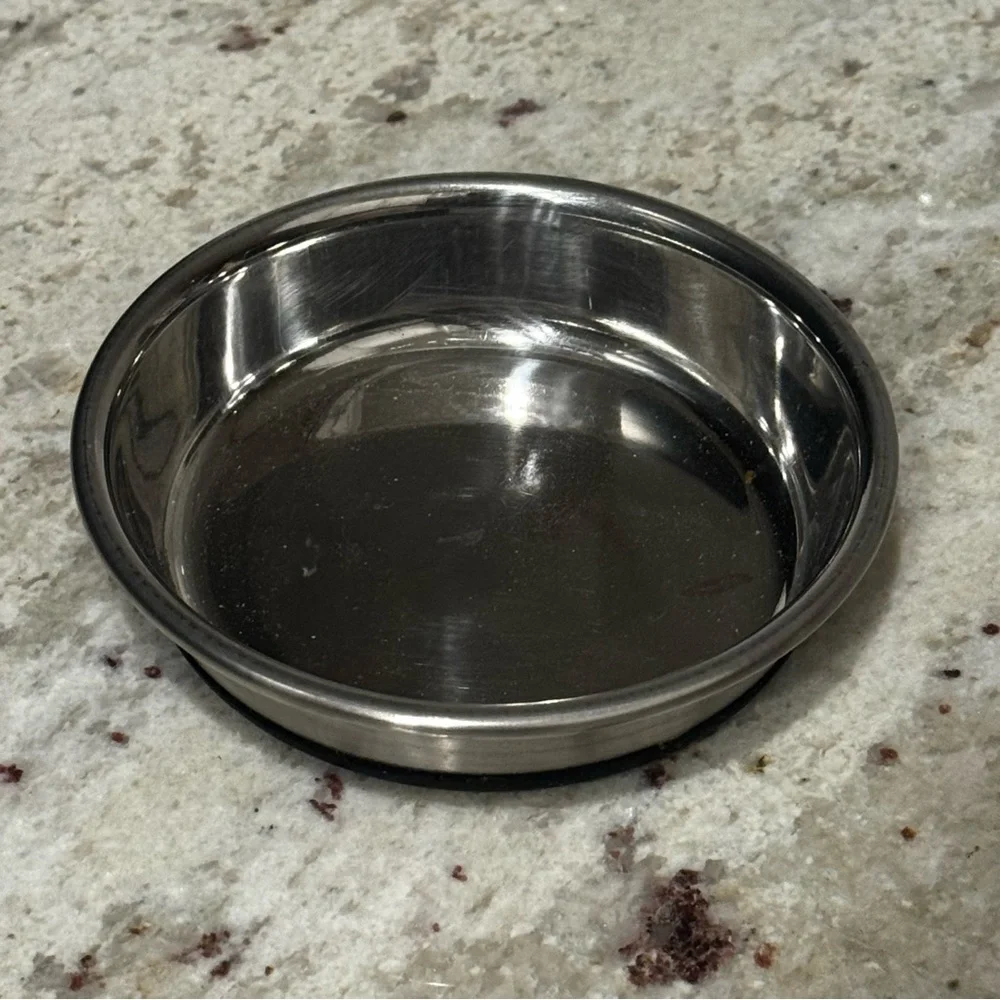 Stainless Steel Pet Bowl - Silver
